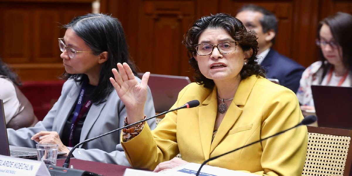 1450060-jefa-de-reniec-advierte-brecha-de-s-198-millones-en-el-presupuesto-del-2027_1200 X 600.jpg